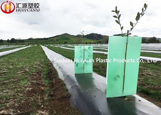 3mm Corrugated Plastic Tree Guards